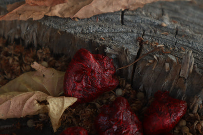 Dry Preserved Chicken Heart