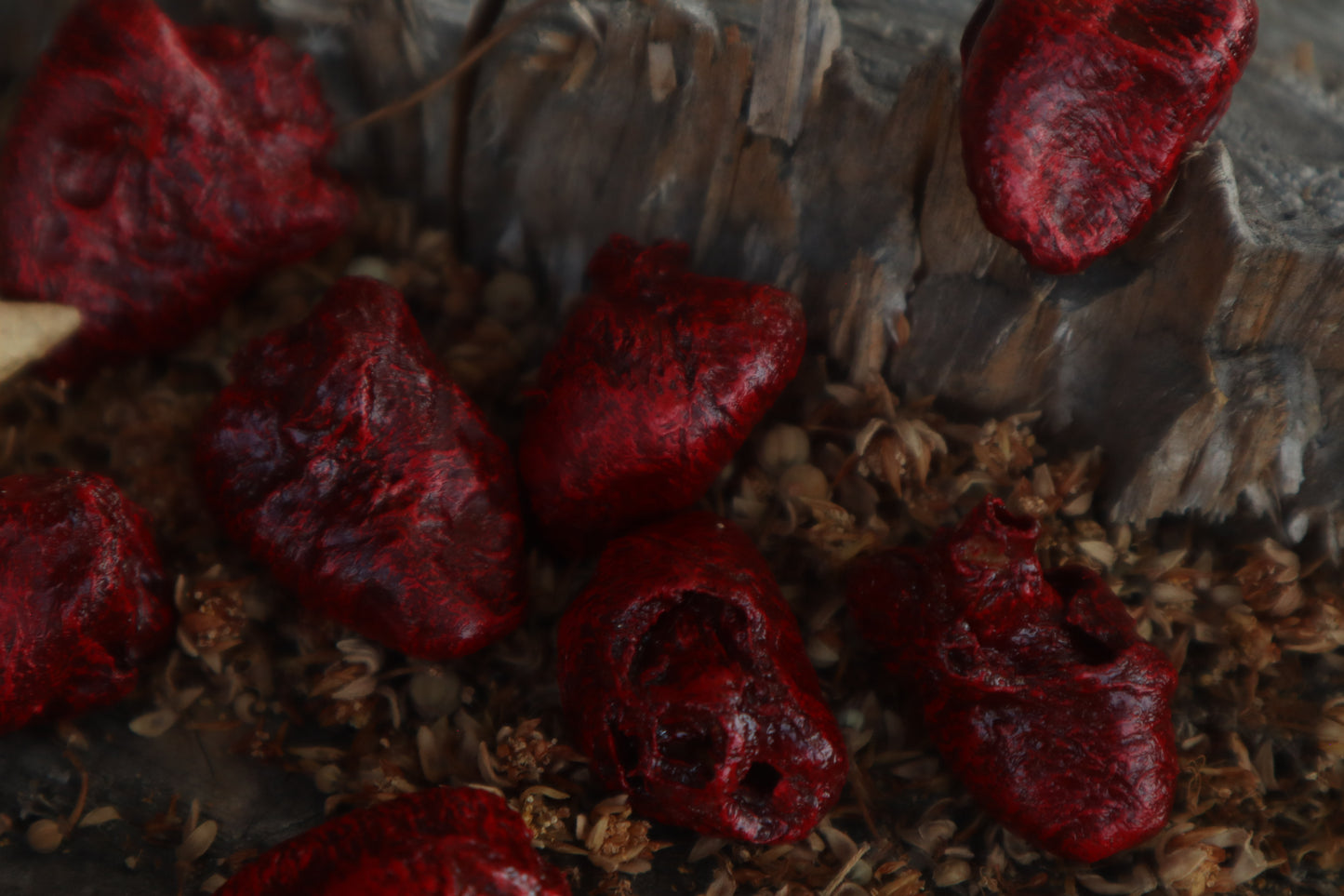 Dry Preserved Chicken Heart