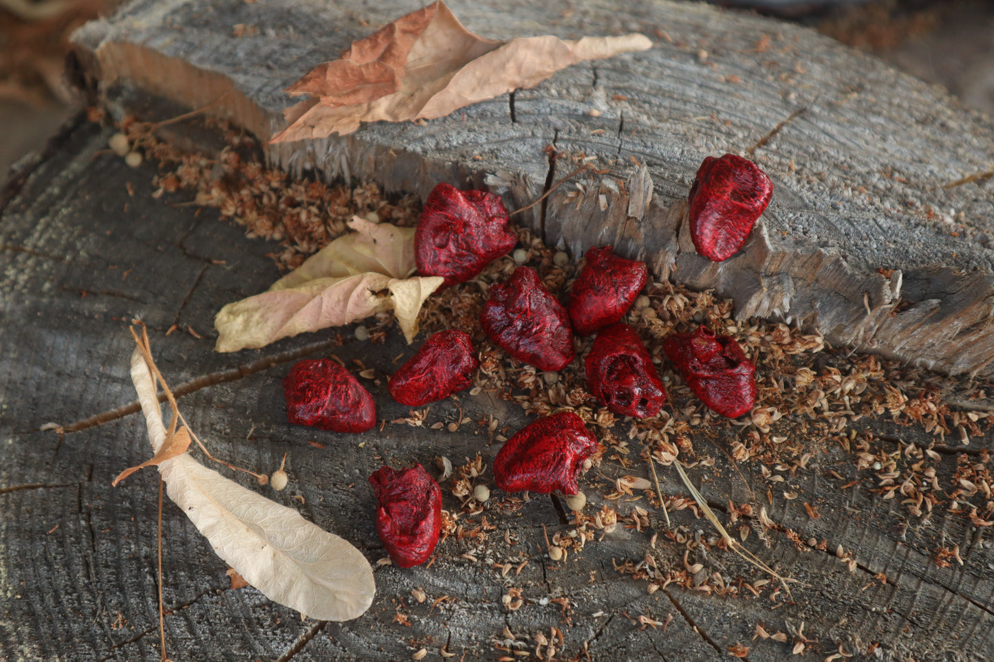 Dry Preserved Chicken Heart