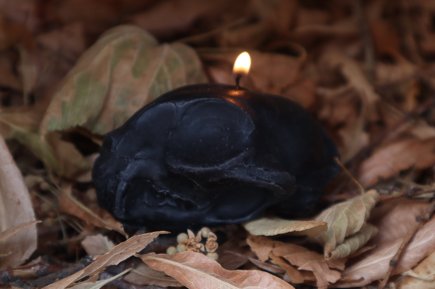 Cat Skull Candle - Black Beeswax