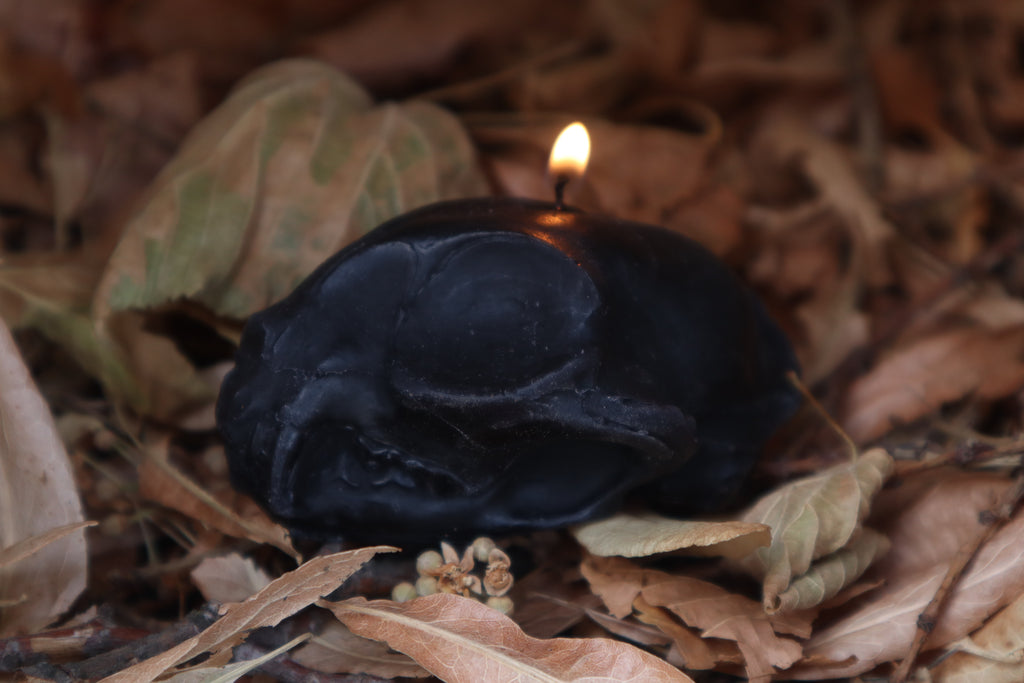 Cat Skull Candle - Black Beeswax