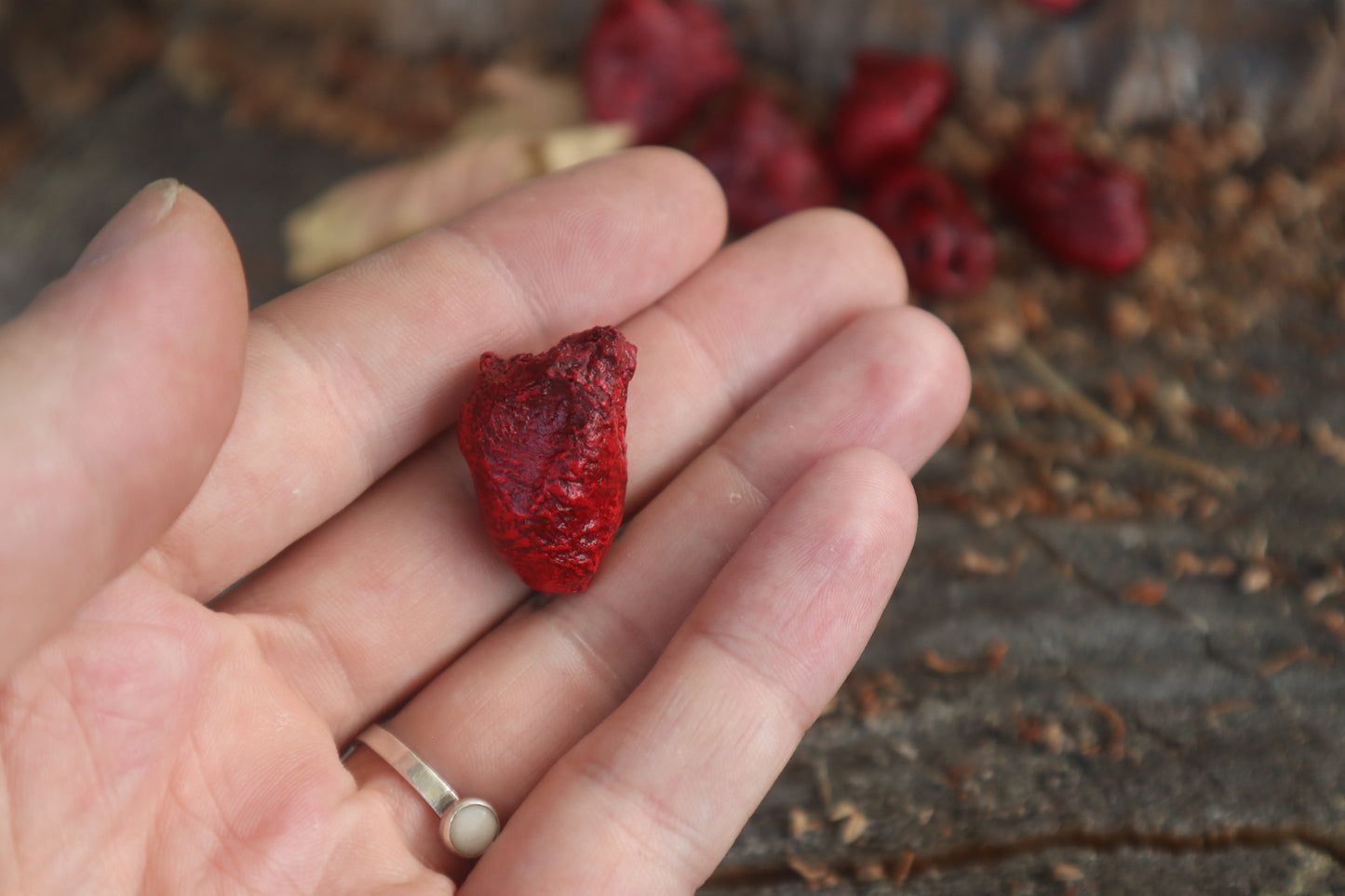 Dry Preserved Chicken Heart