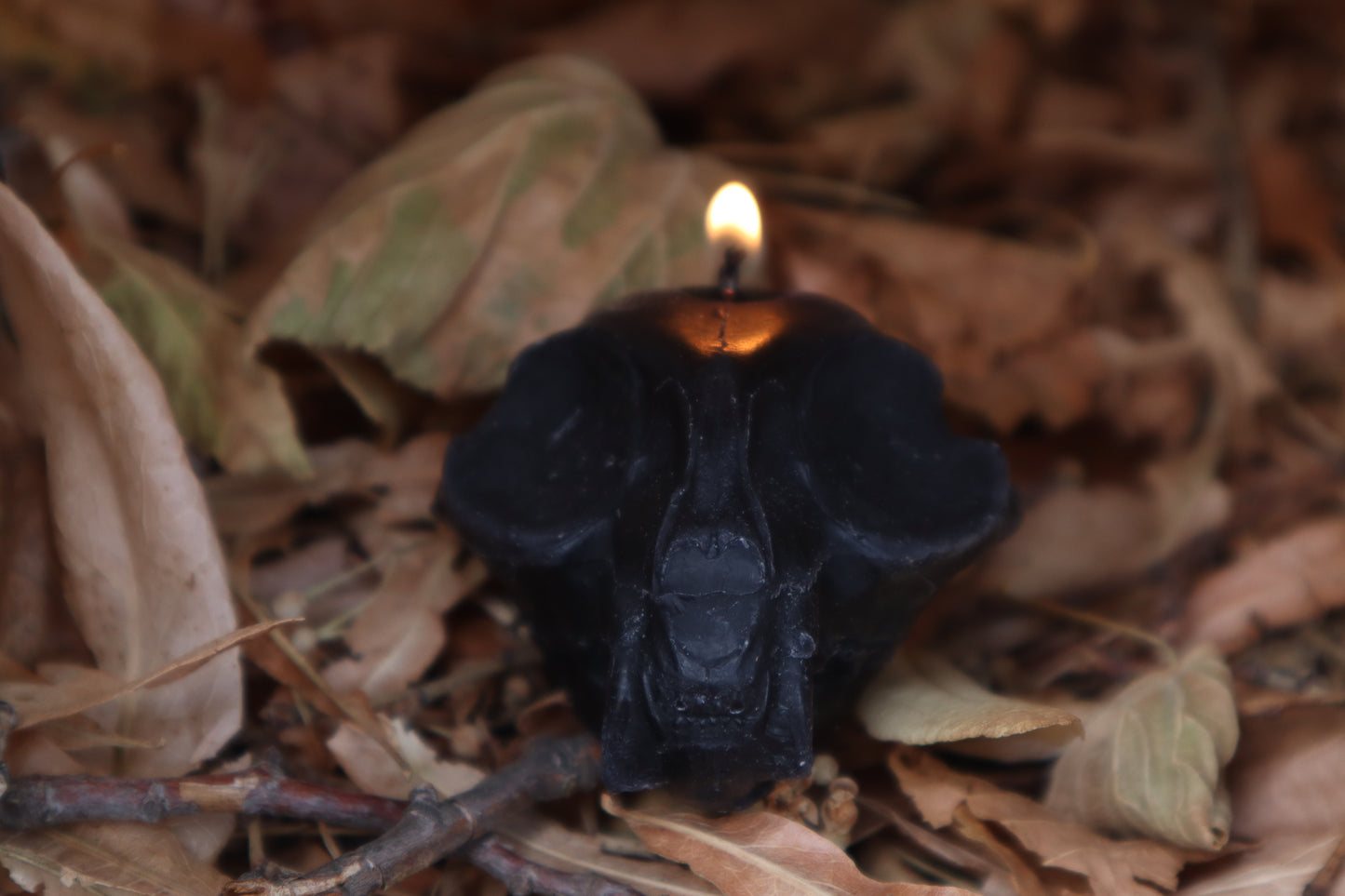 Cat Skull Candle - Black Beeswax