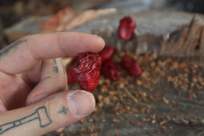 Dry Preserved Chicken Heart