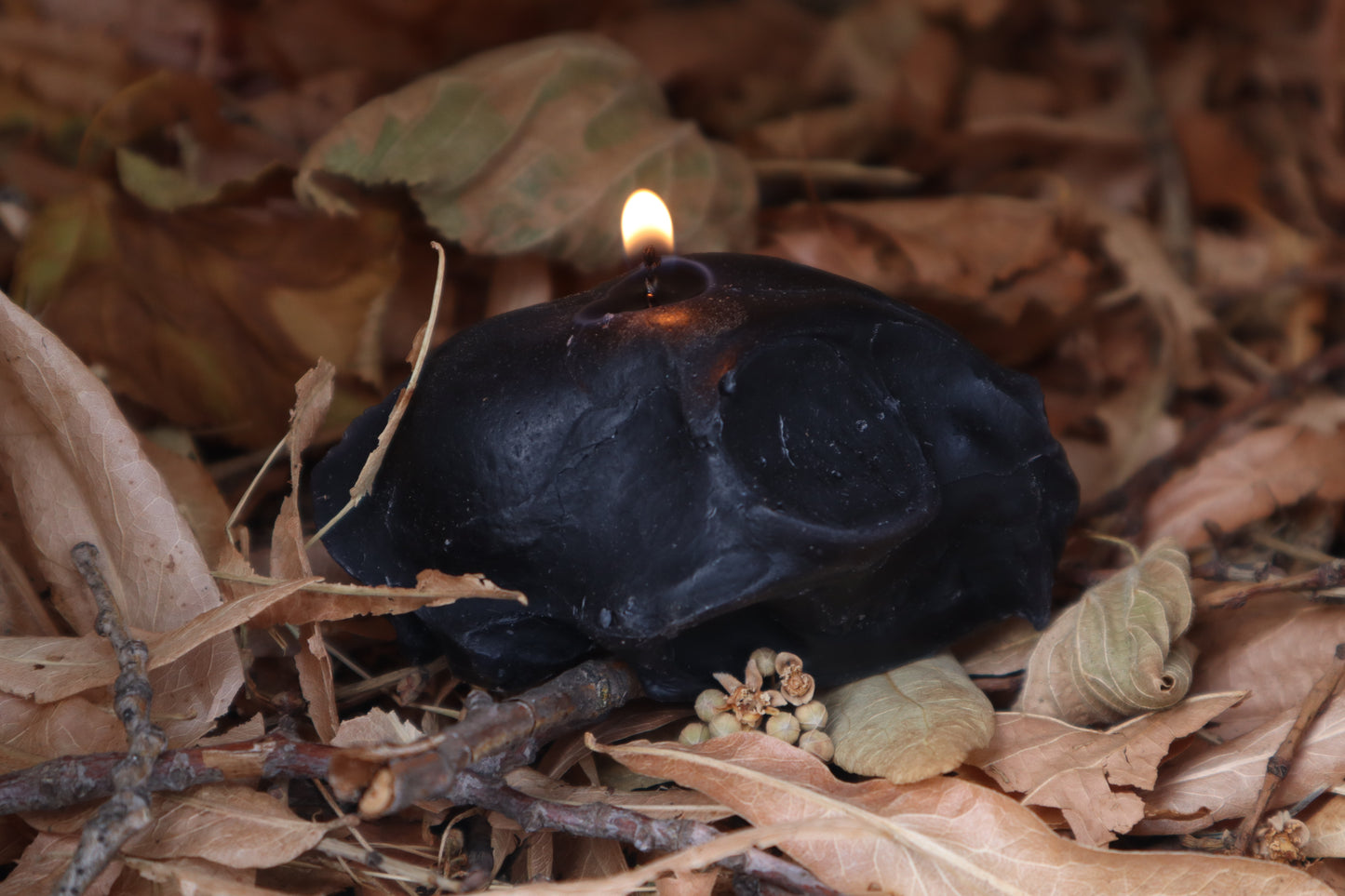 Cat Skull Candle - Black Beeswax