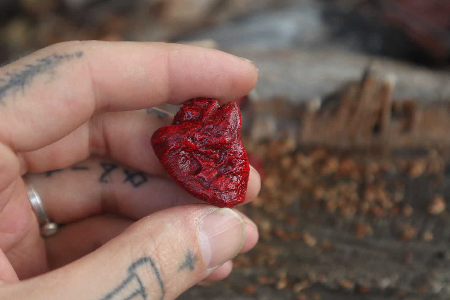 Dry Preserved Chicken Heart