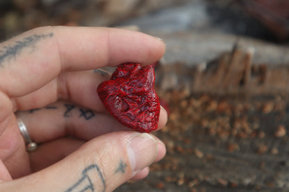 Dry Preserved Chicken Heart