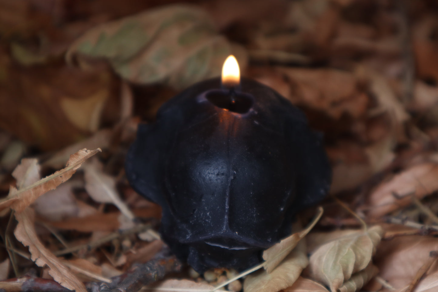 Cat Skull Candle - Black Beeswax