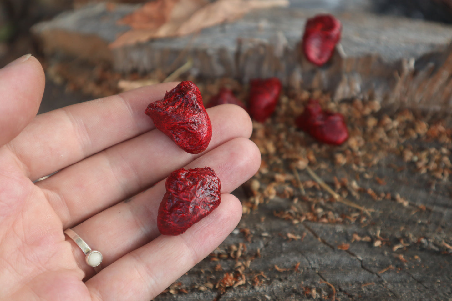 Dry Preserved Chicken Heart
