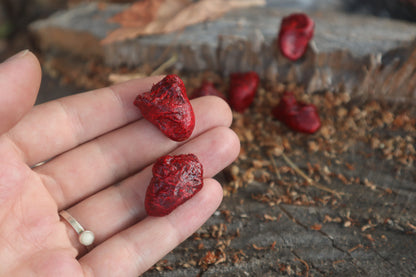 Dry Preserved Chicken Heart