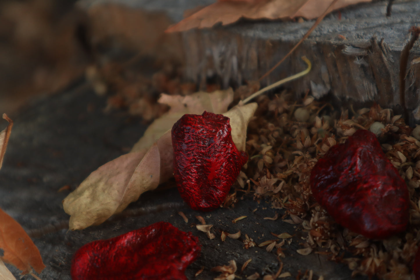 Dry Preserved Chicken Heart