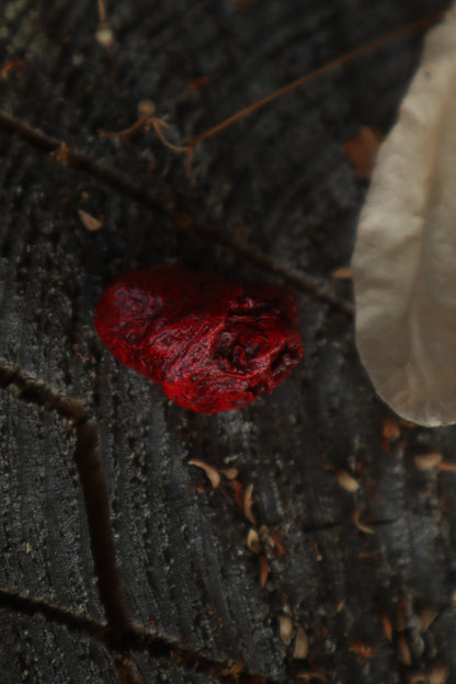 Dry Preserved Chicken Heart