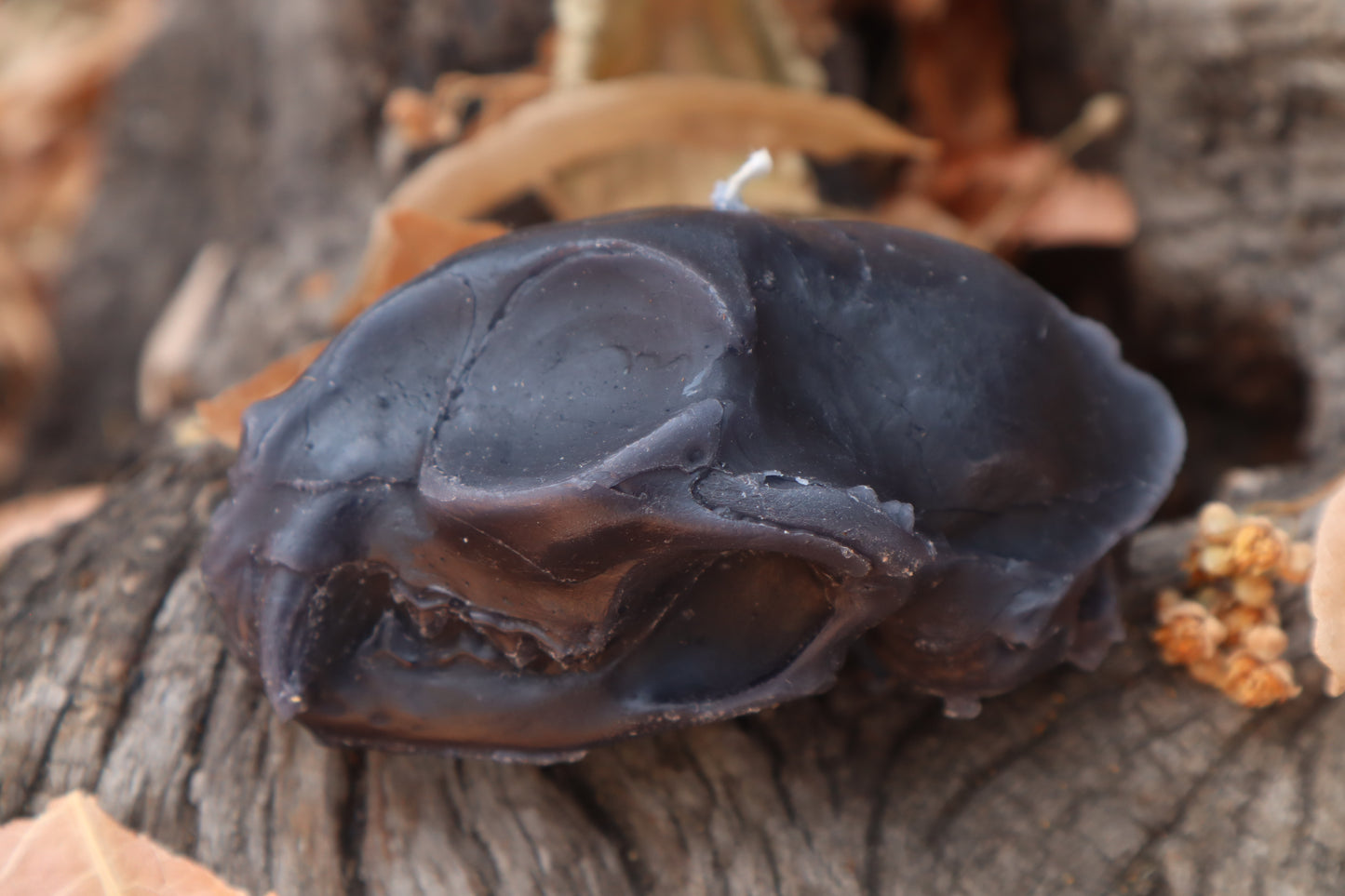 Cat Skull Candle - Black Beeswax