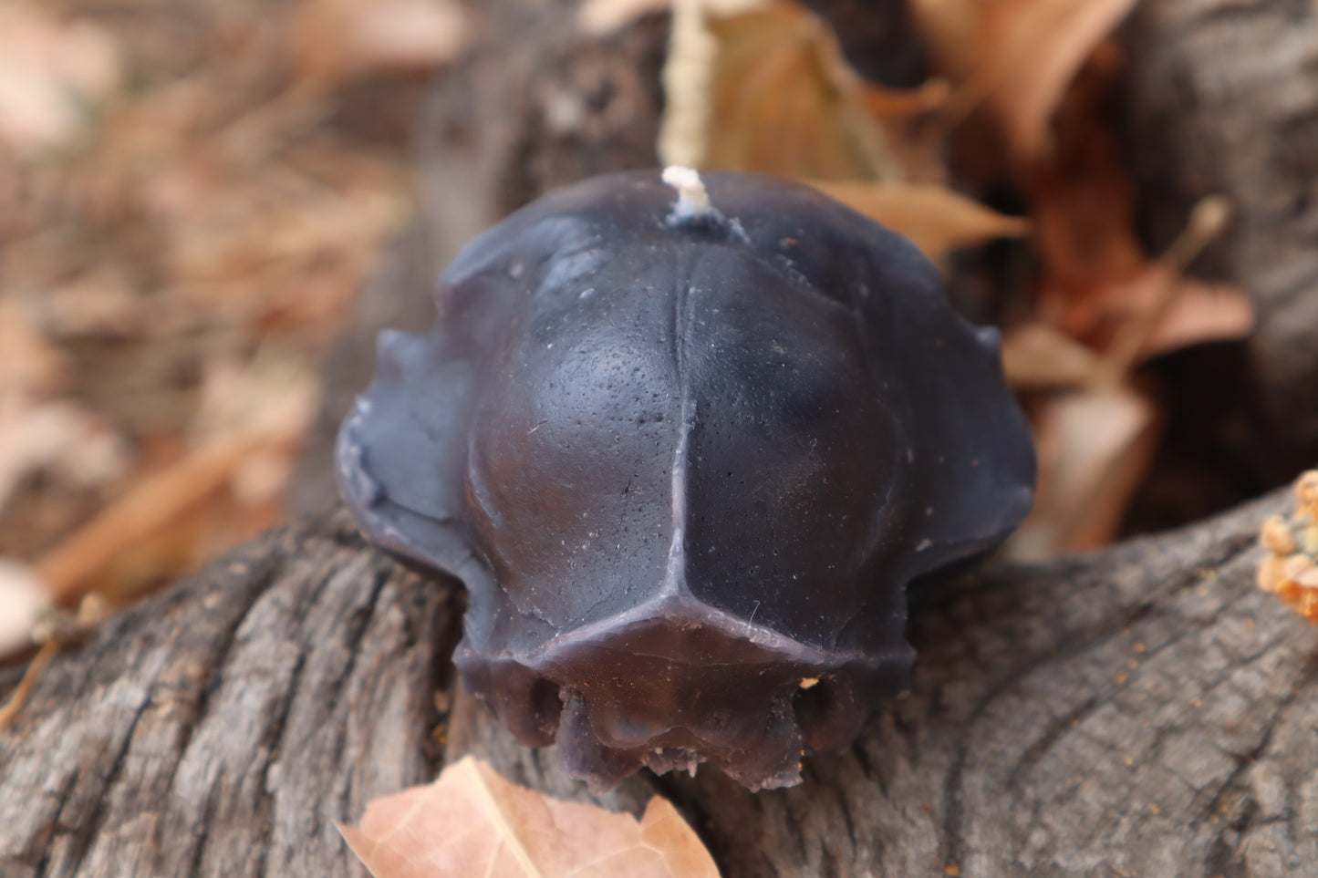 Cat Skull Candle - Black Beeswax