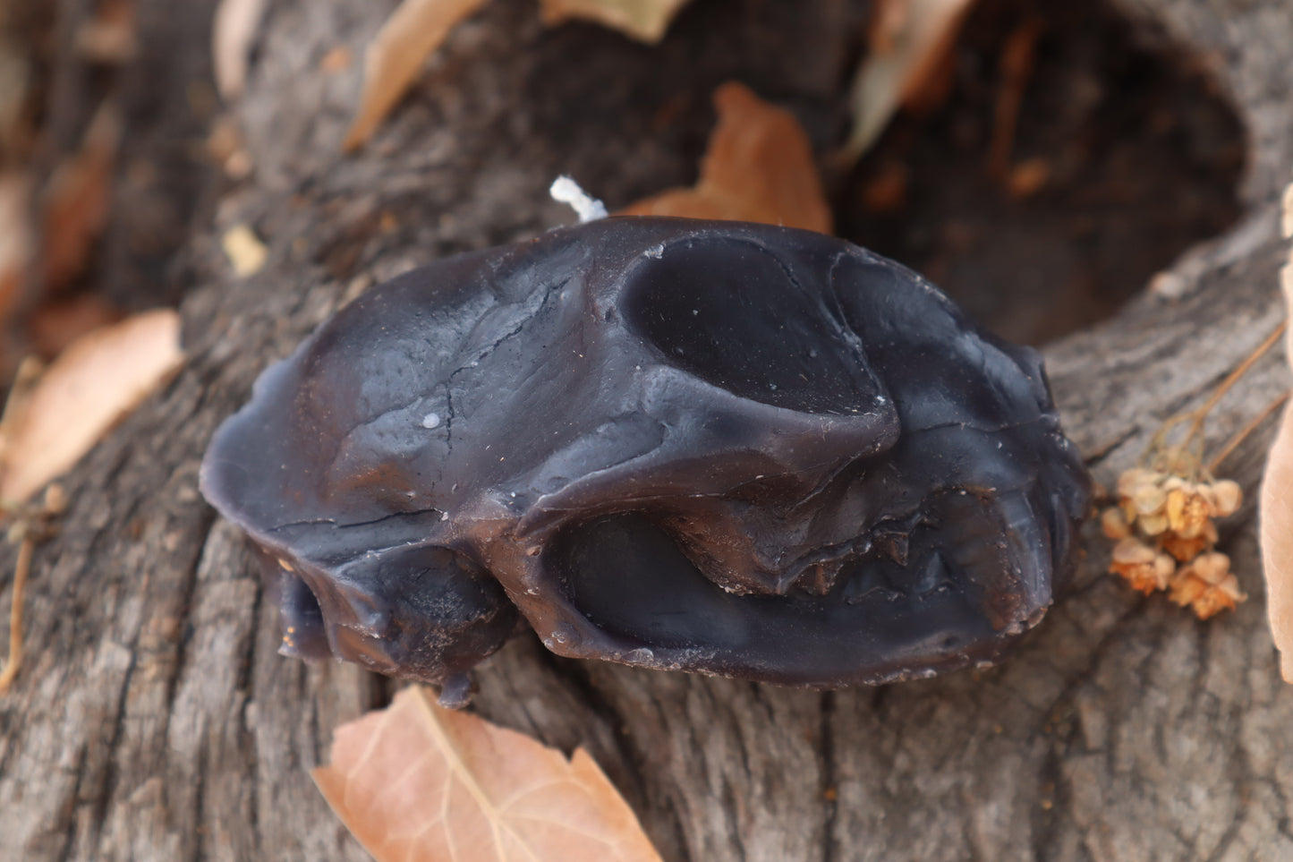 Cat Skull Candle - Black Beeswax