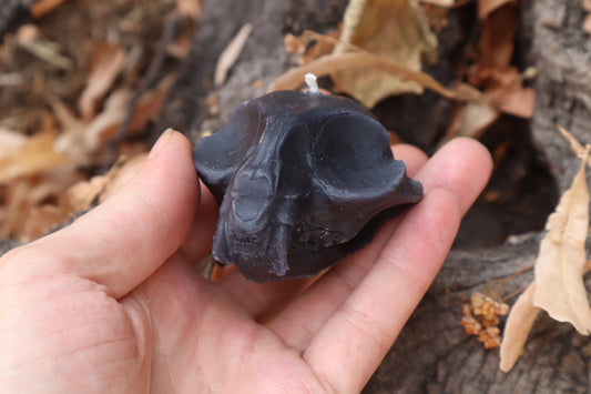 Cat Skull Candle - Black Beeswax