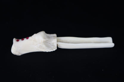 Gray Wolf Bone Incense Holder with Garnets