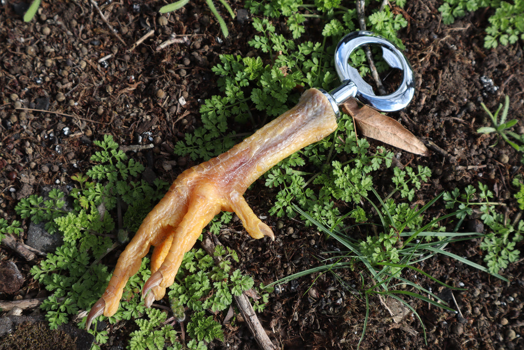 Chicken Foot Bottle Opener