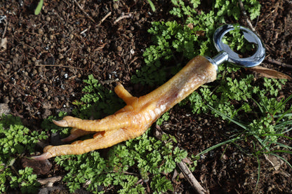 Chicken Foot Bottle Opener