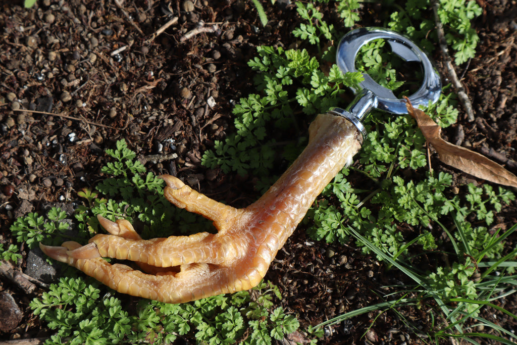 Chicken Foot Bottle Opener