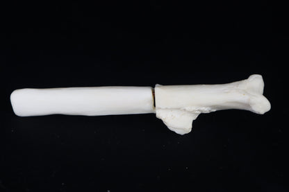 Gray Wolf Bone Incense Holder with Garnets