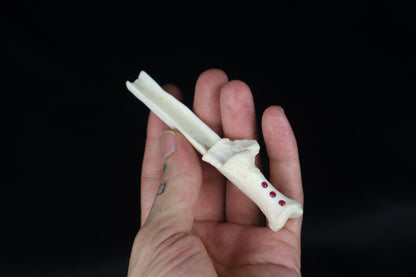 Gray Wolf Bone Incense Holder with Garnets