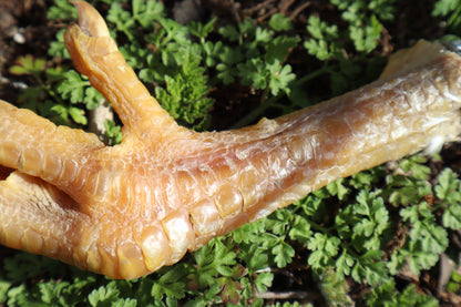 Chicken Foot Bottle Opener