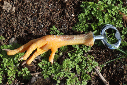 Chicken Foot Bottle Opener