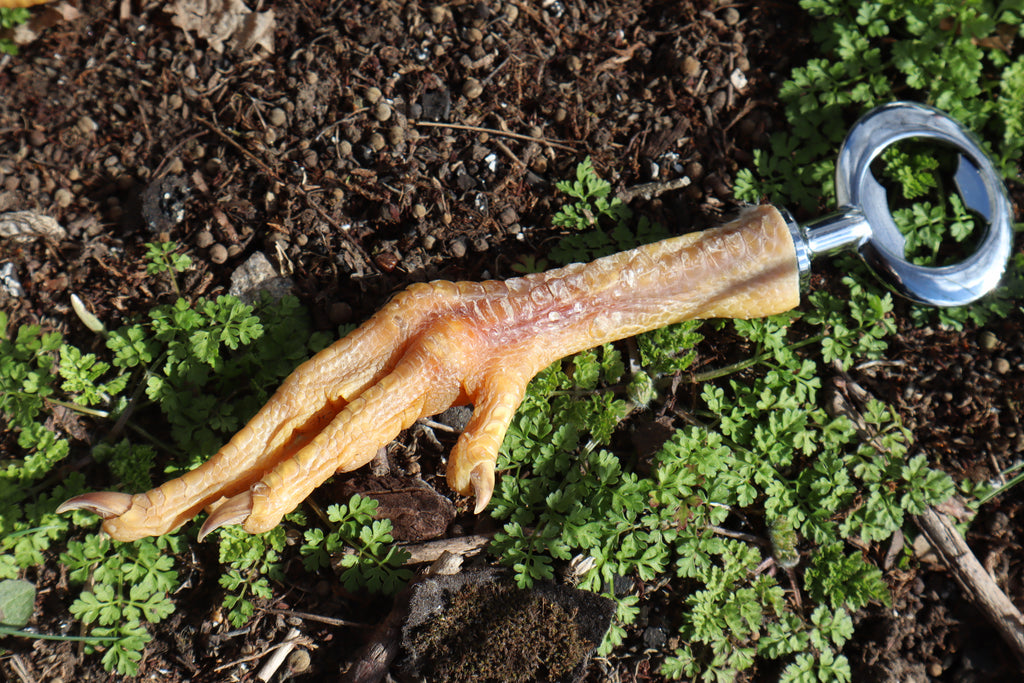 Chicken Foot Bottle Opener