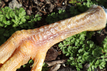 Chicken Foot Bottle Opener