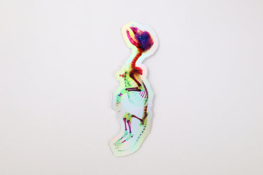 Diaphonized Baby Red Fox Sticker - Holographic
