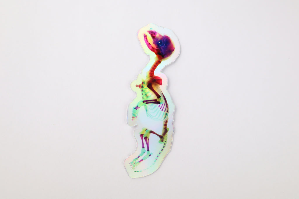 Diaphonized Baby Red Fox Sticker - Holographic