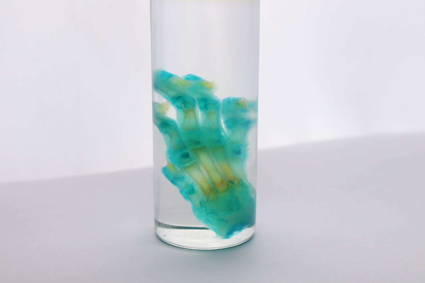 Diaphonized Kitten Paw
