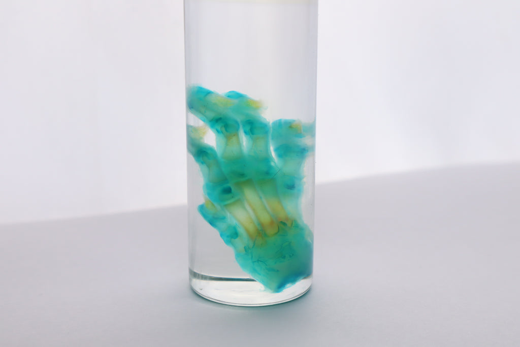 Diaphonized Kitten Paw