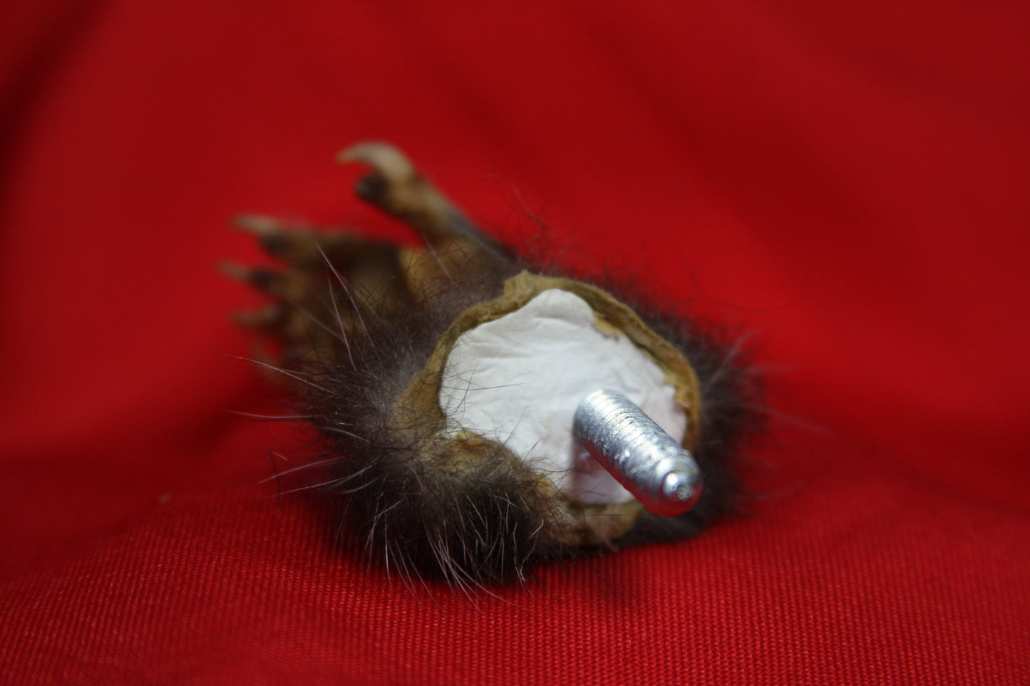 Opossum Hand Holder