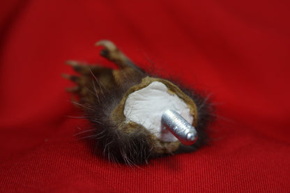Opossum Hand Holder