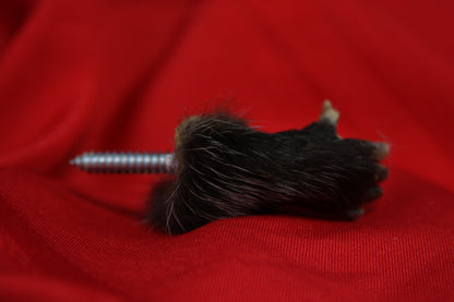 Opossum Hand Holder