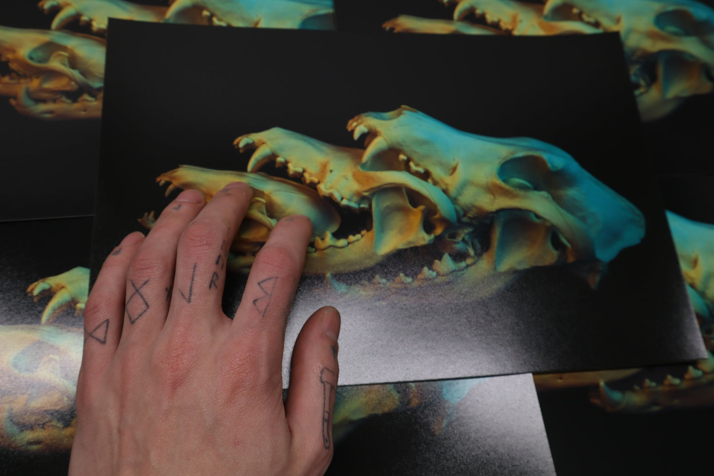 Canidaeception Print