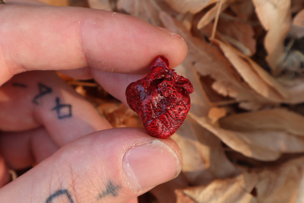 Dry Preserved Kitten Heart