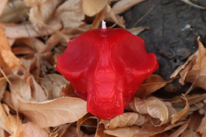 Cat Skull Candle - Red Beeswax