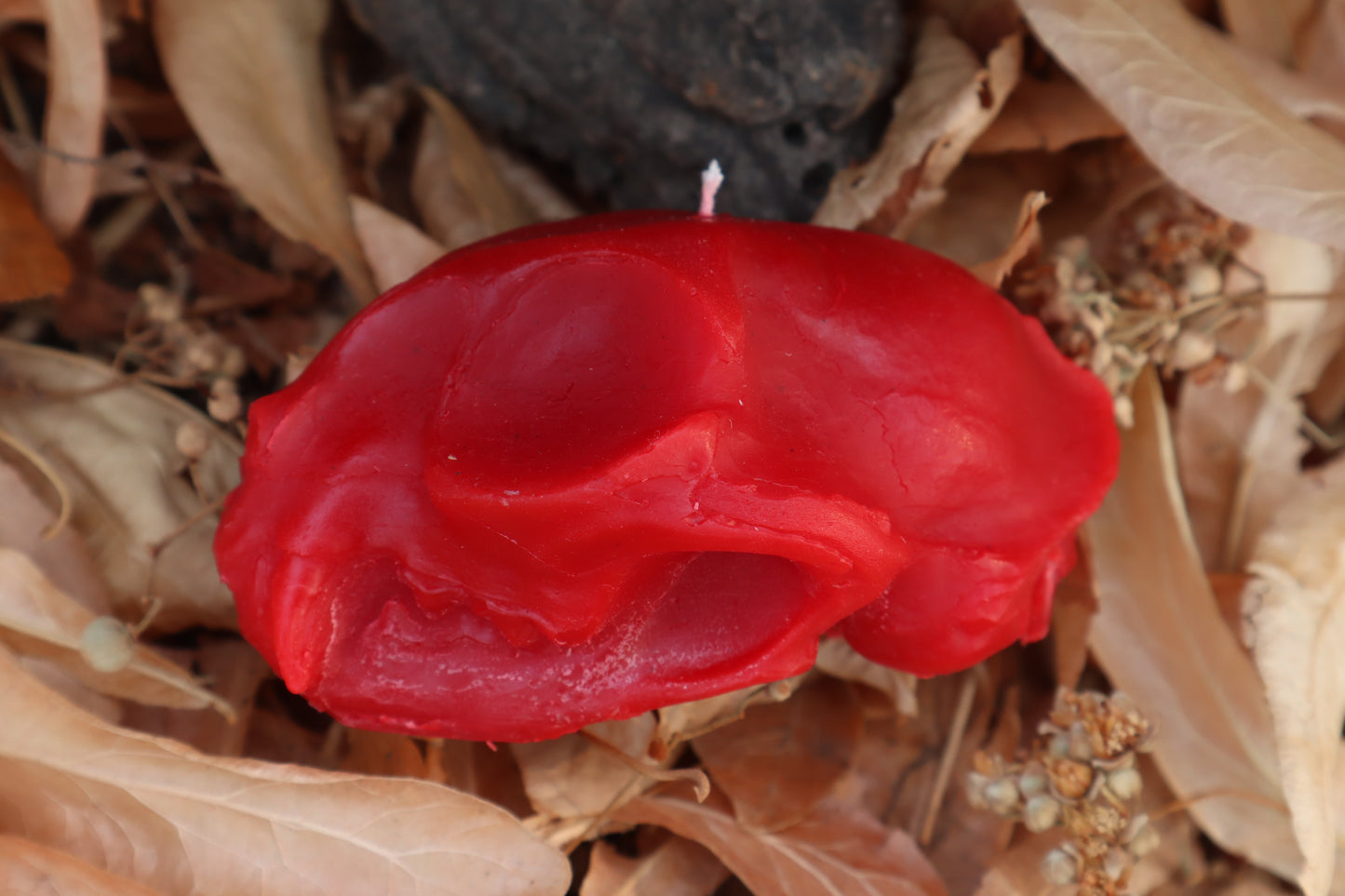 Cat Skull Candle - Red Beeswax