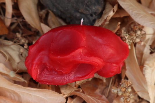 Cat Skull Candle - Red Beeswax