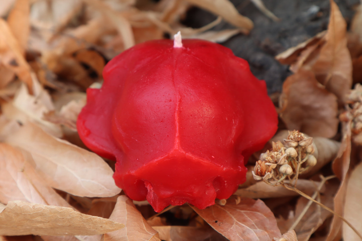 Cat Skull Candle - Red Beeswax