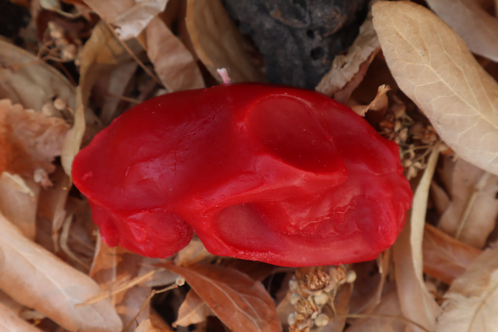 Cat Skull Candle - Red Beeswax