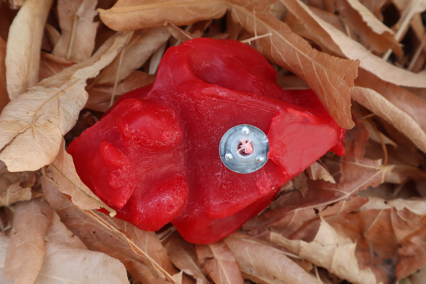 Cat Skull Candle - Red Beeswax