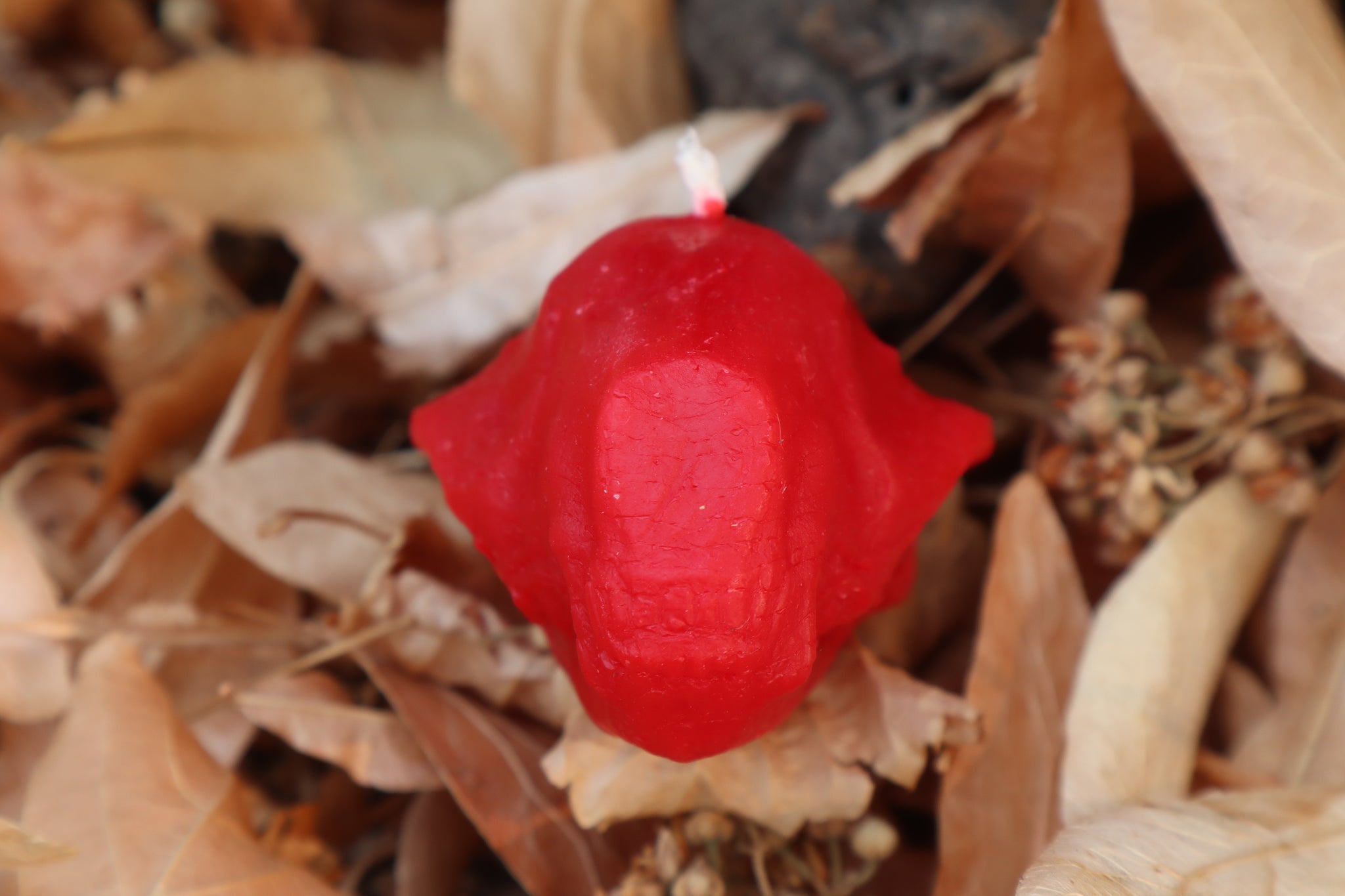 Skunk Skull Candle - Red Beeswax