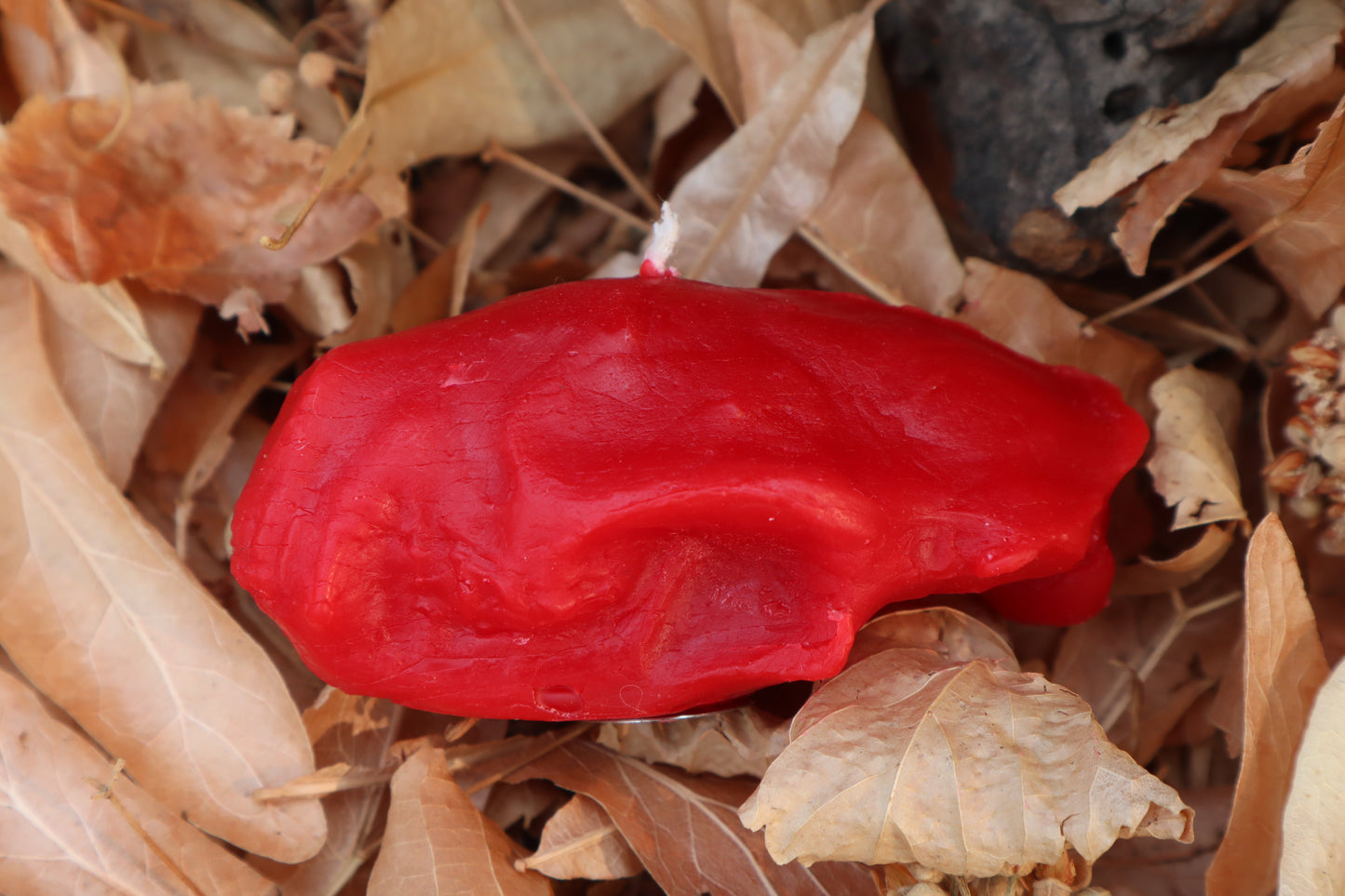 Skunk Skull Candle - Red Beeswax