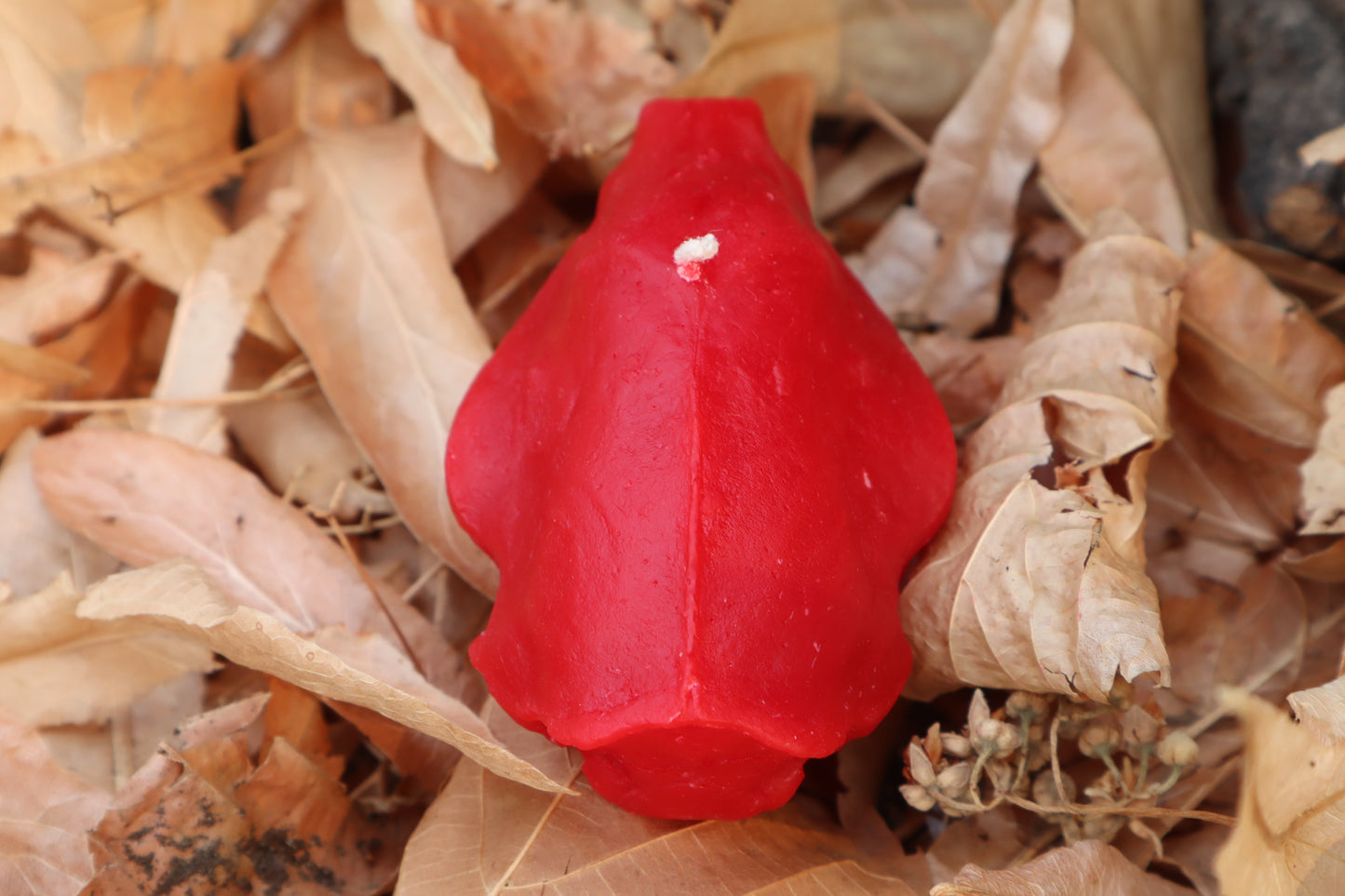 Skunk Skull Candle - Red Beeswax