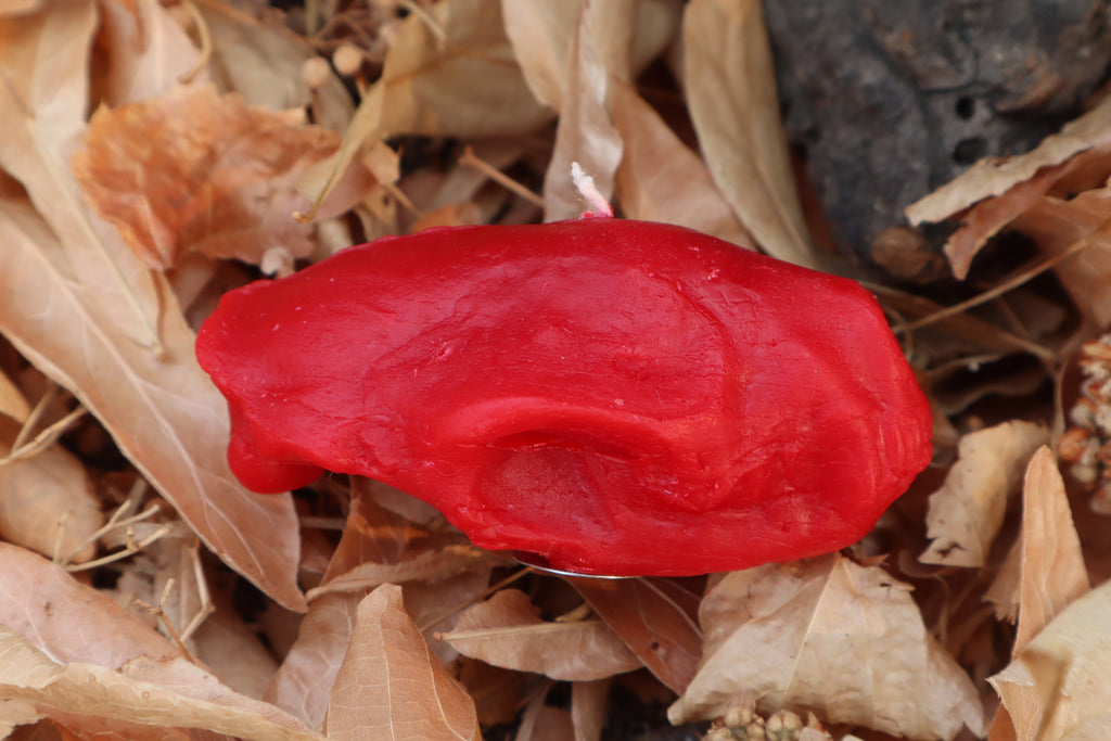 Skunk Skull Candle - Red Beeswax