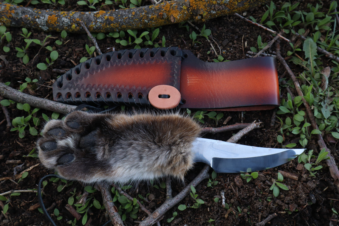XL Bobcat Paw Knife and Sheath